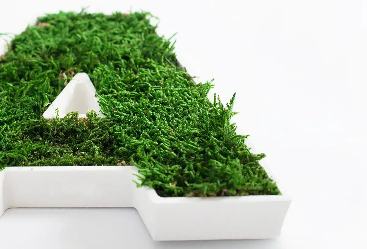 Mușchi verde scrisoare de însoțire A sculptură