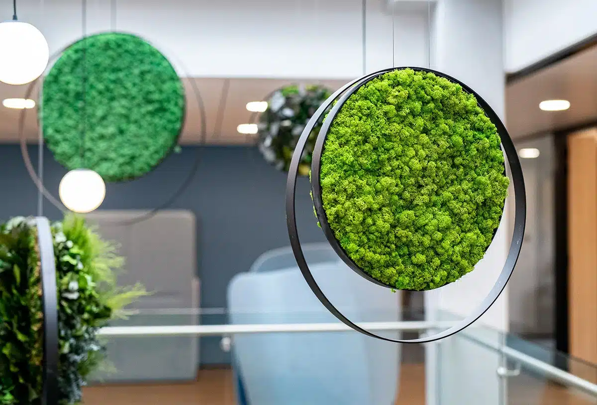 Modern office decor with hanging green plants
