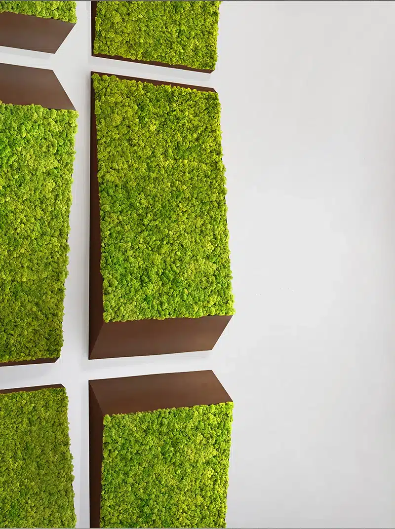 Modern green moss wall art installation.