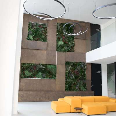 Wild plants wall for Navona 