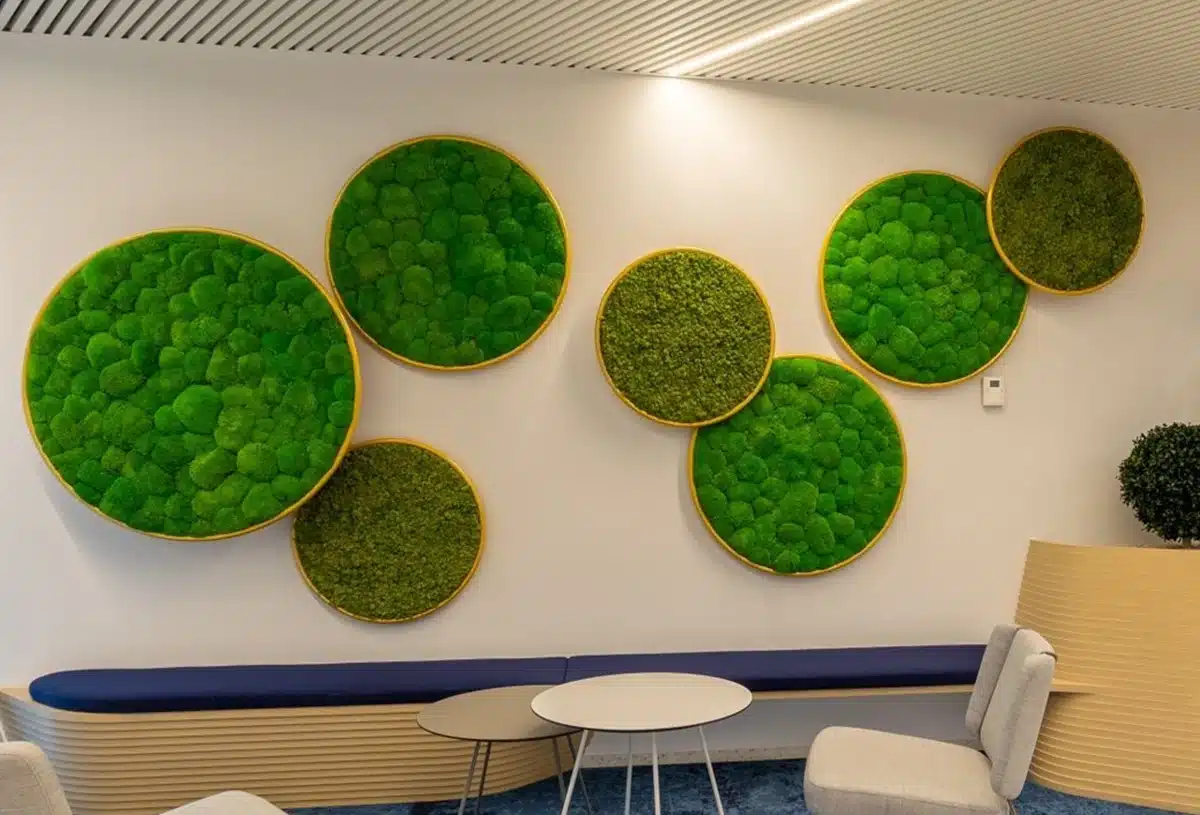 Greenmood_G-circle_product-00