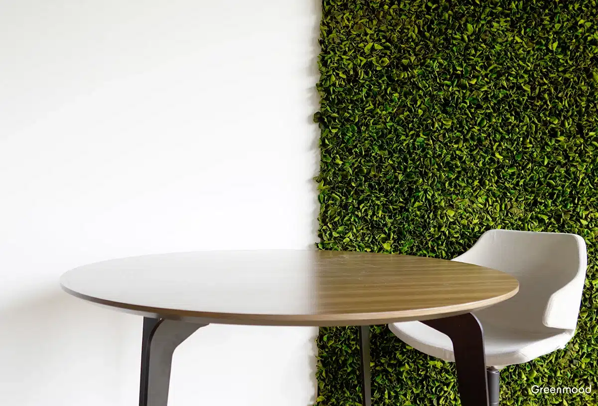 Greenmood_Velvet-Leaf-Product-02