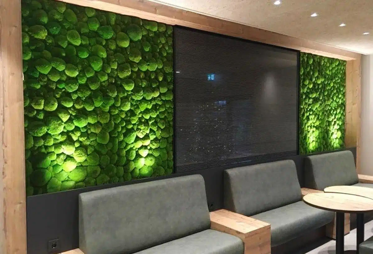 Greenmood_ball-moss-gallery_05