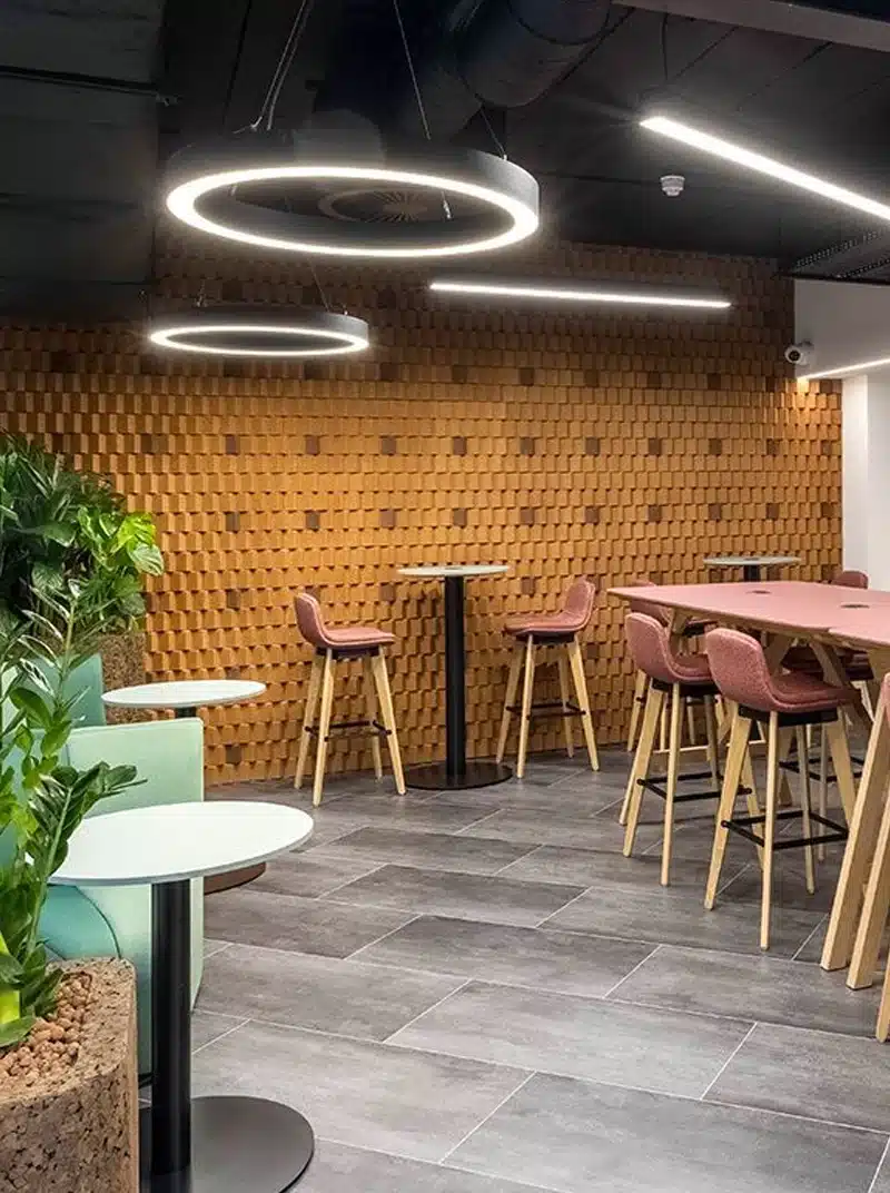 perete acustic din plută