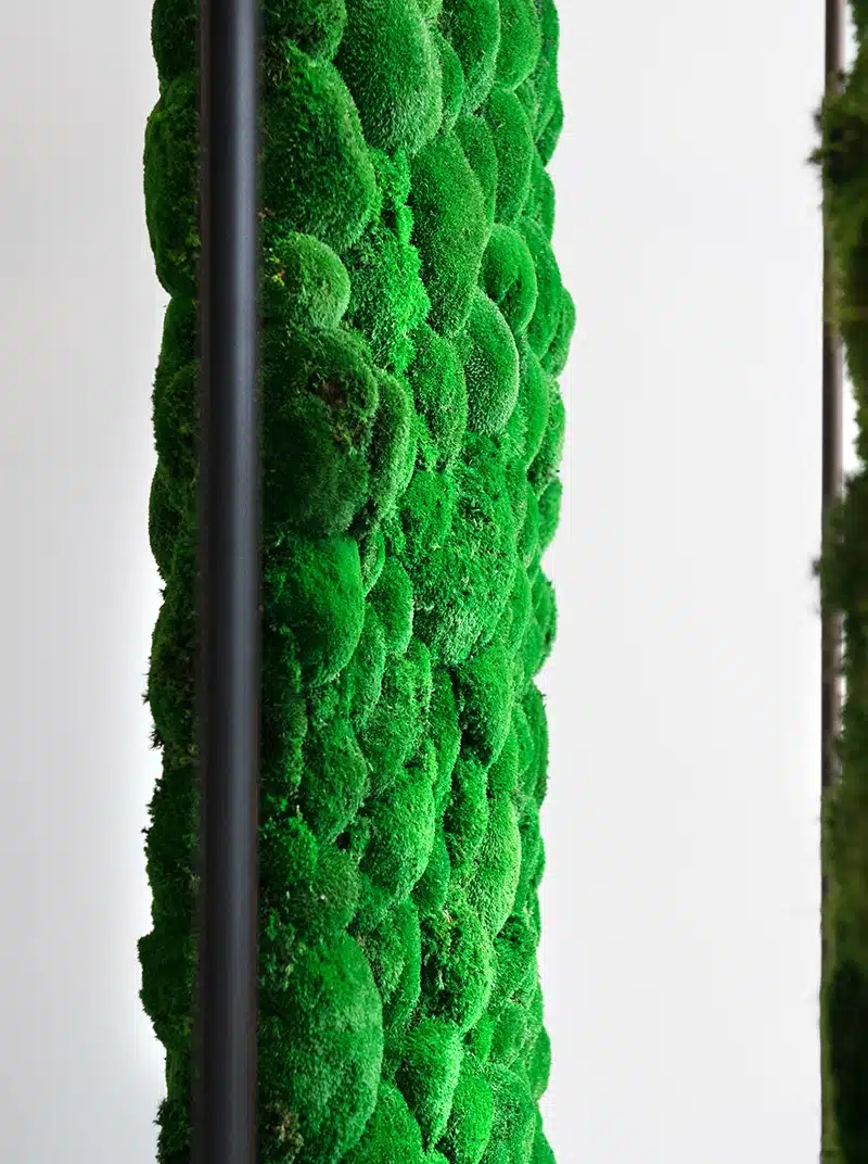Vertical wall with vibrant green moss texture.