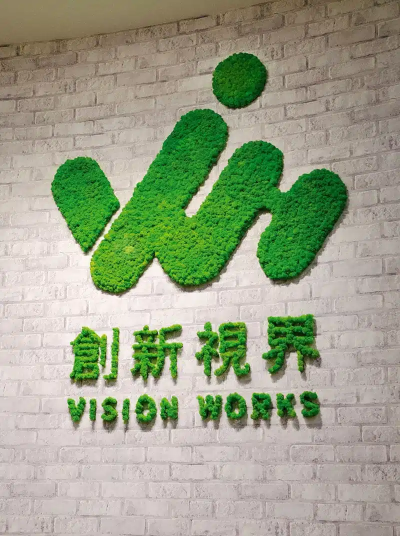 Logo-ul frunzei verzi cu text chinezesc, Vision Works