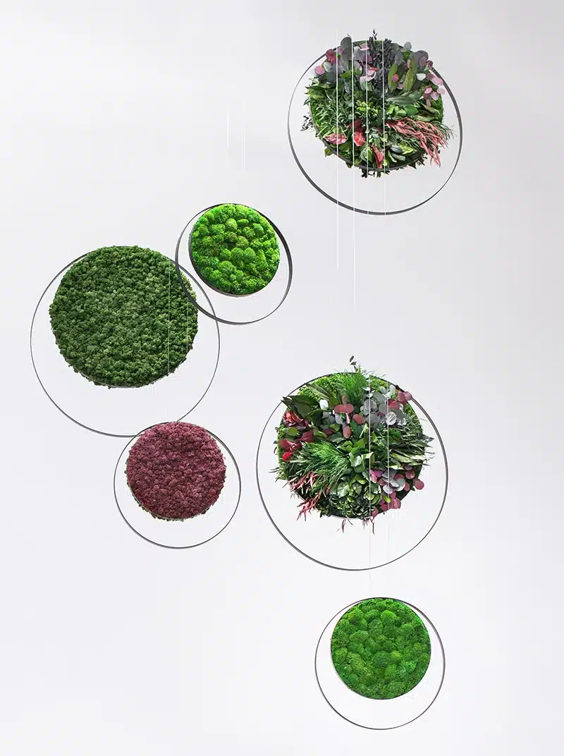 Circular garden displays with green plants