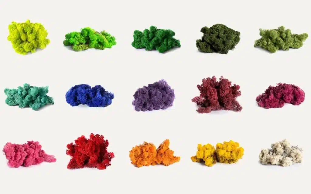 Tufe colorate de mușchi expuse în rânduri