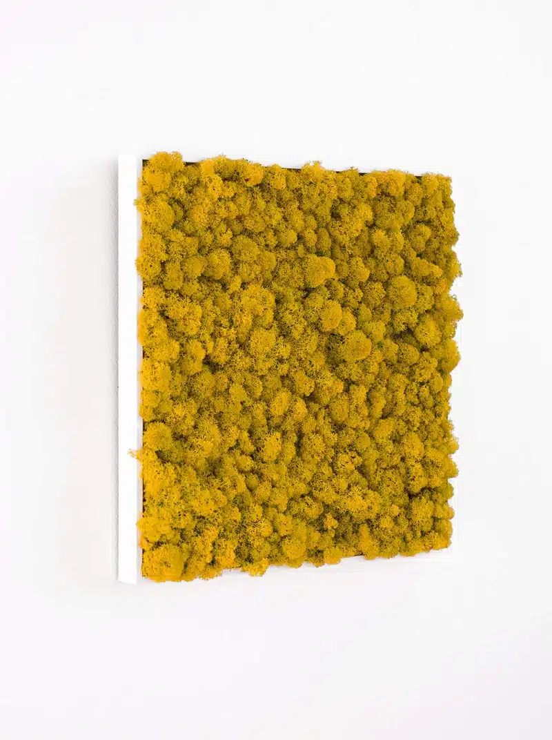 Square artwork with textured yellow surface on wall.