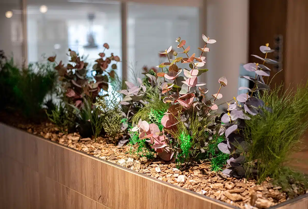 Tailored-planter-fillings_product_06