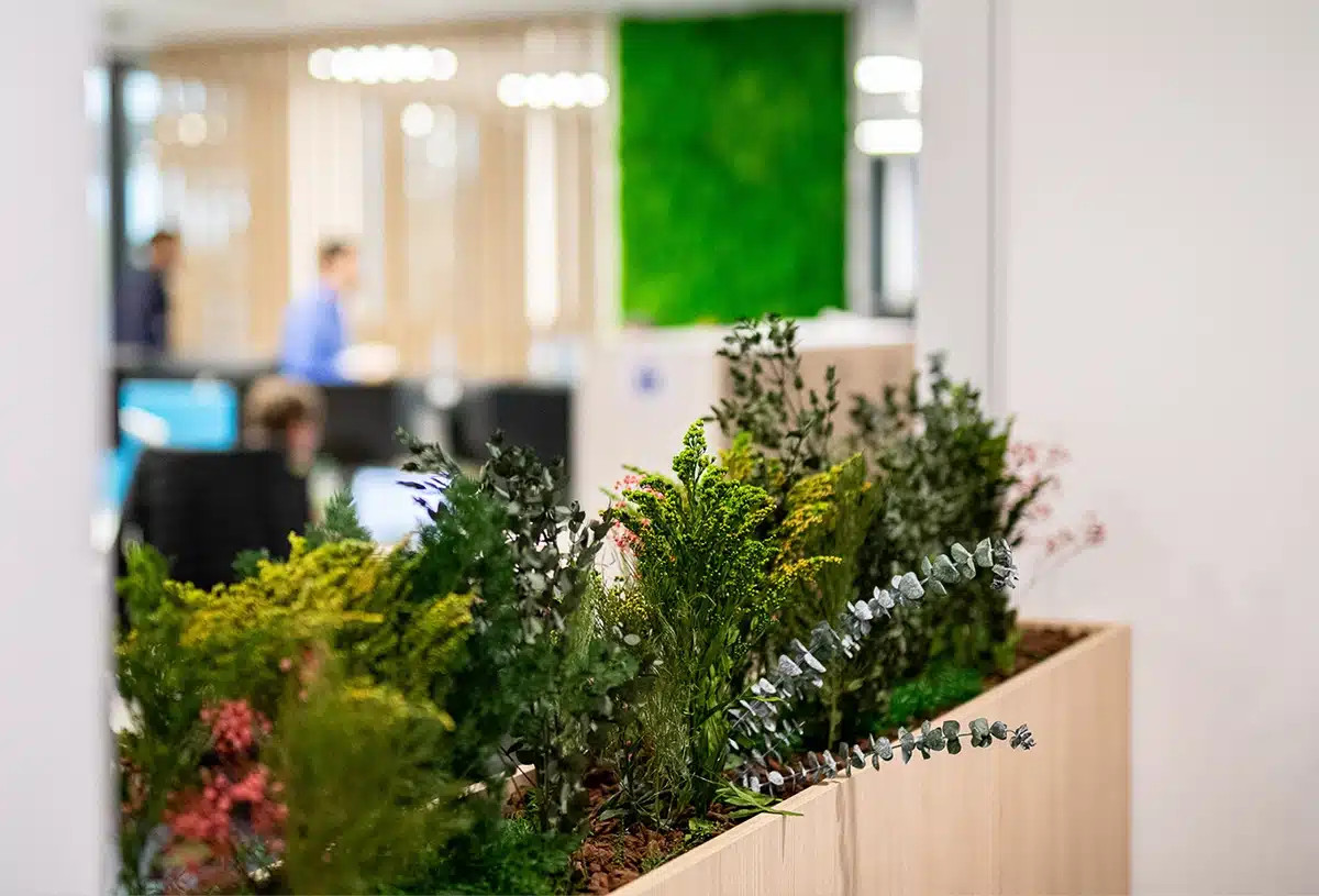 Tailored-planter-fillings_product_07