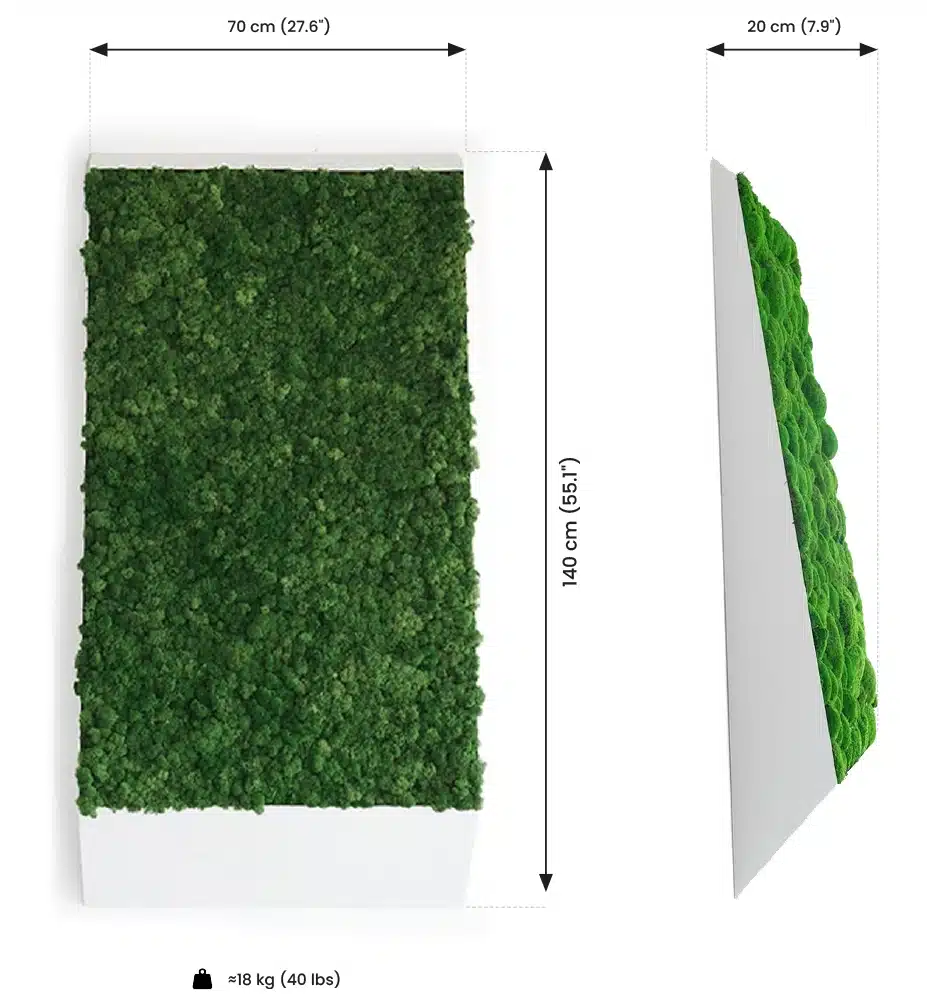 Vertical moss wall panel with dimensions and weight.