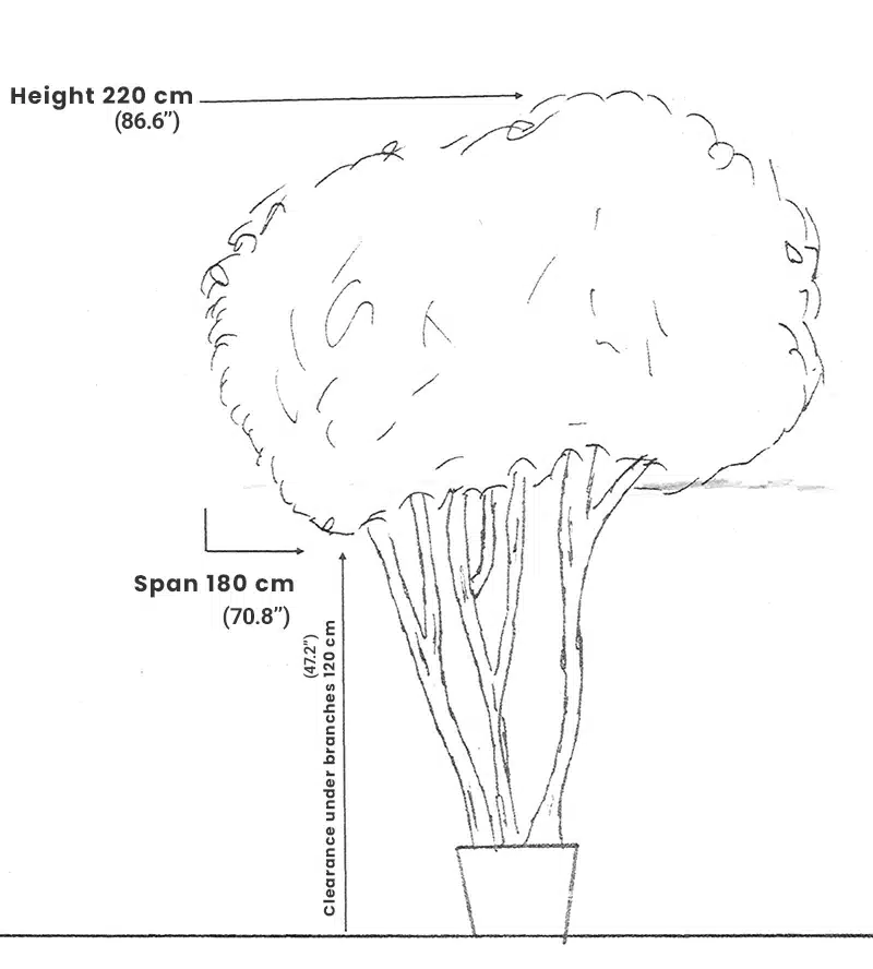 Tree dimensions: height 220cm, span 180cm, clearance 120cm.