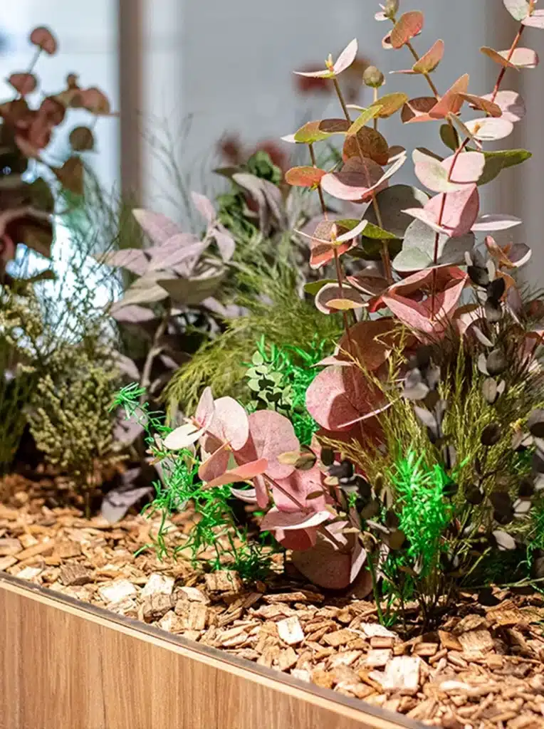 Colorful decorative plants in wooden planter box.